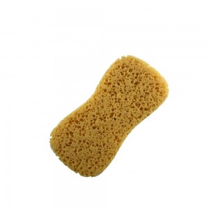 0128 sponge